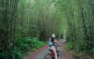 Best Biking Trail in Zengcheng, Guangzhou!