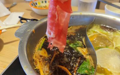 Japanese Hot Pot: Shabu Shabu