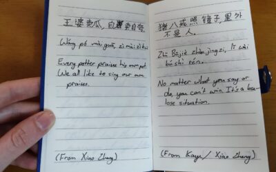 5 Fun Chinese Sentences