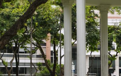Back to School: Teaching in China