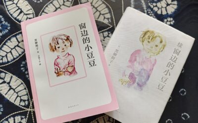 Fun Chinese Books for Chinese Language Learners to Read
