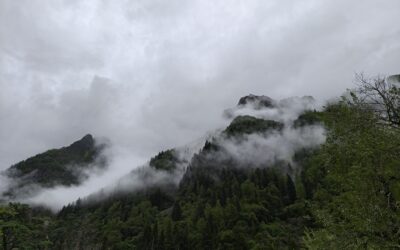 Western Sichuan Day 6: Hiking 长坪沟 (Changping Gou) in 四姑娘山 (Si Guniang Shan)