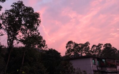 Praising God Without the “Happy Ending”