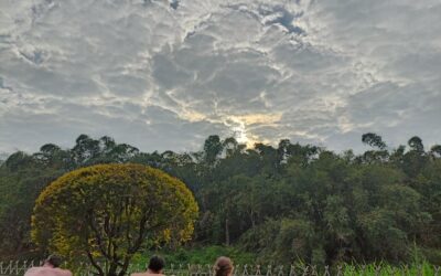 Fun things to do (and eat!) in Yunfu, Guangdong