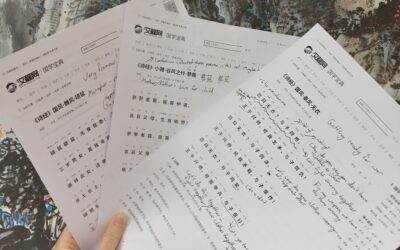 Understanding Ancient Chinese Poems