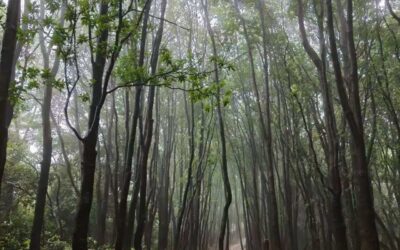 Fun Hike in Guangzhou