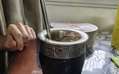Experiencing Yerba Mate