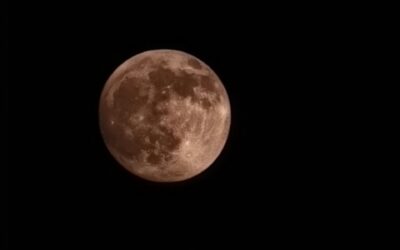How to Celebrate Mid-Autumn Festival in China